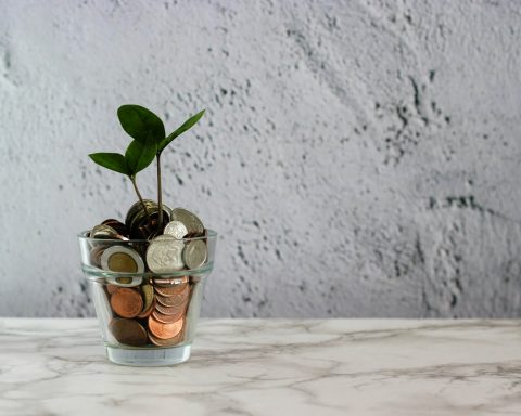 green plant in clear glass cup