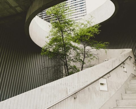 architectural photography of concrete stair