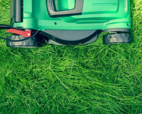 green and black lawnmower on green grass