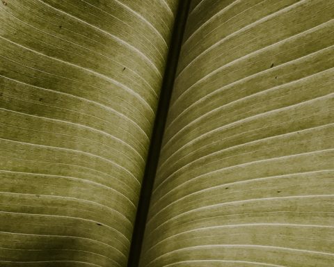 gray and white striped textile