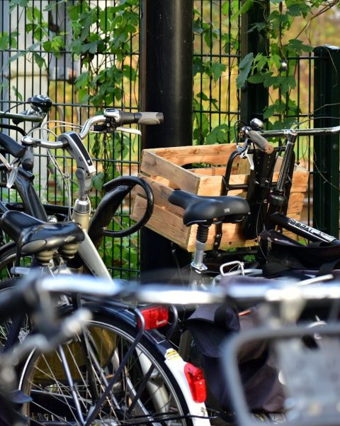 a bunch of bikes parked next to each other