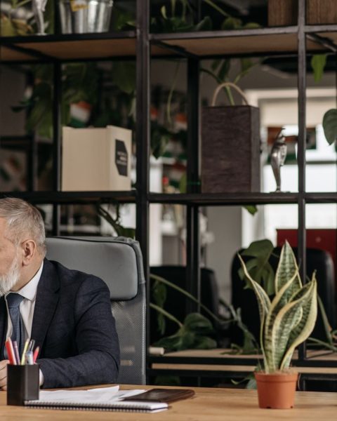 A senior man in a suit working at a desk in a modern office with plants.