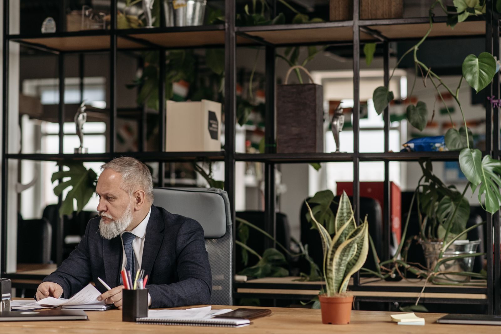 A senior man in a suit working at a desk in a modern office with plants.
